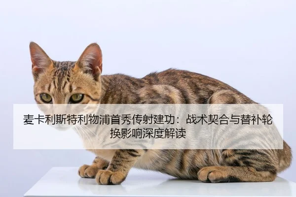 mai-ka-li-si-te-li-wu-pu-shou-xiu-chuan-she-jian-gong-zhan-shu-qi-he-yu-ti-bu-lun-huan-ying-xiang-shen-du-jie-du-2-230.jpg